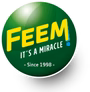 Feem