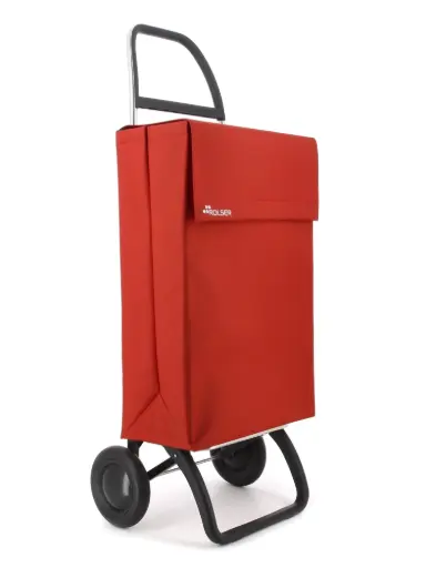 Rolser Jean LN Shopping Trolley – 2 Wheels – Terra