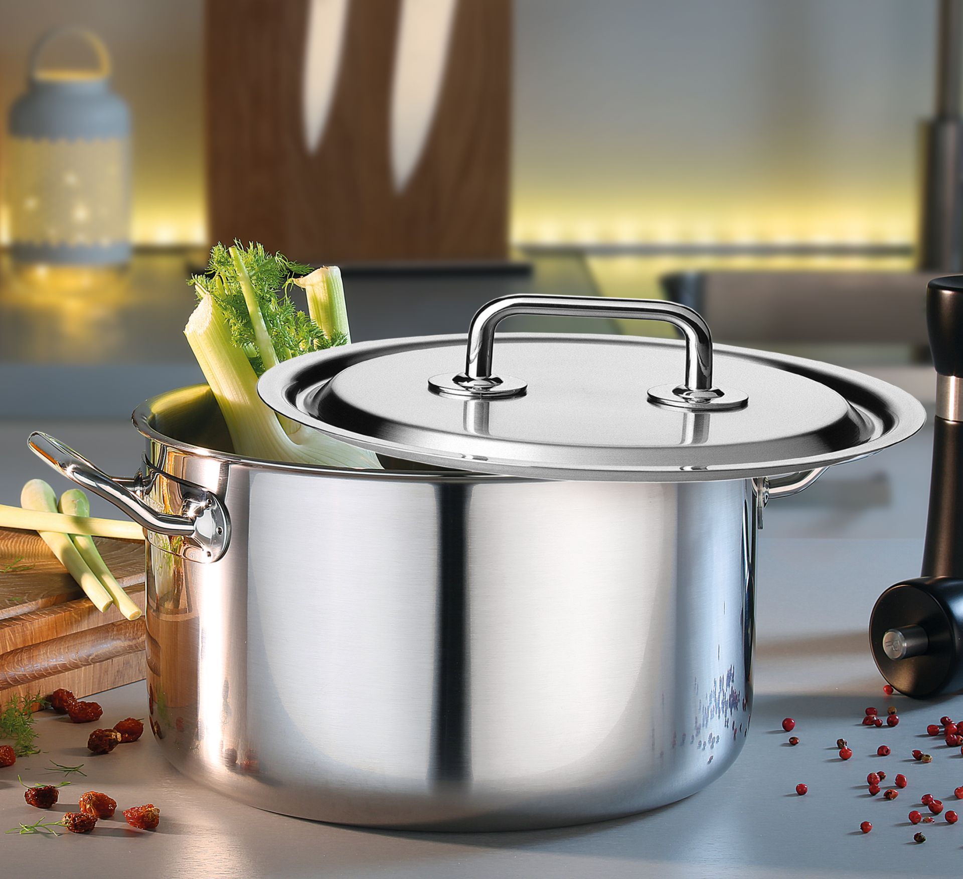 Spring Brigade Premium 4-piece Cookware Set – Stainless Steel