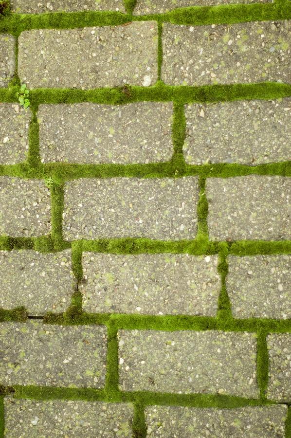 Feem Ontmosser - Groene Aanslagverwijderaar - Biologisch Afbreekbaar