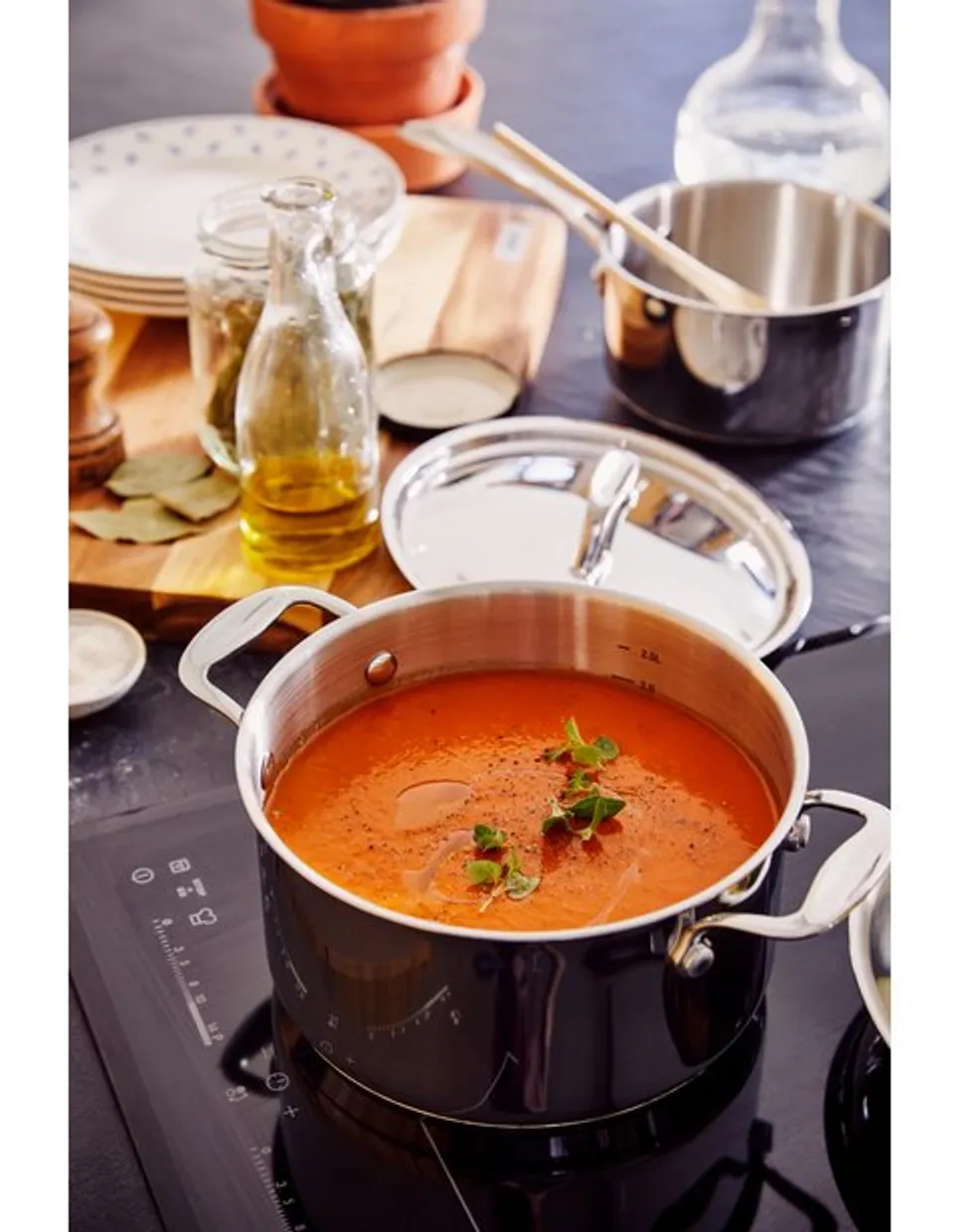 ALVA Chef saucepan – Ø 16cm